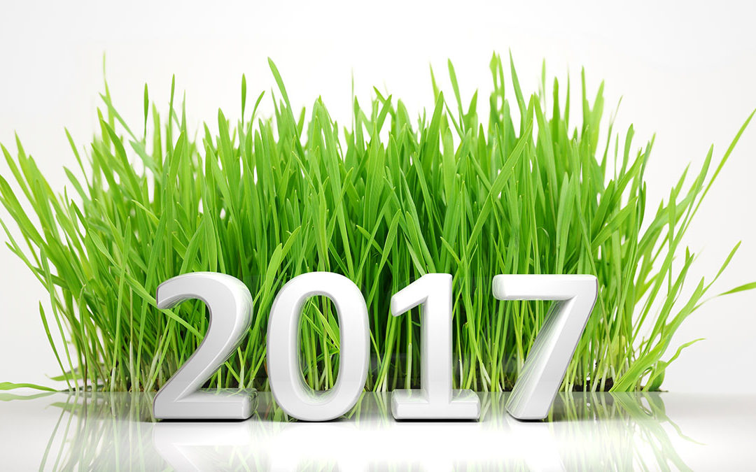 Gott Nytt År!