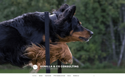 Ny webbsida åt Gunilla & Co Consulting