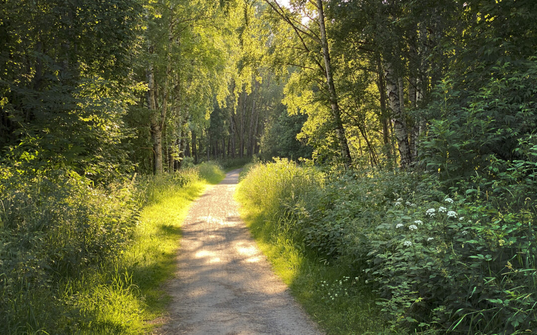 Annanstanslängtan