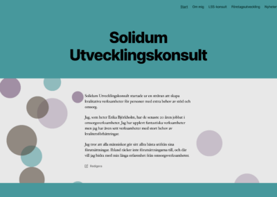 Webbsida för Solidum Utvecklingskonsult (hjälp med)
