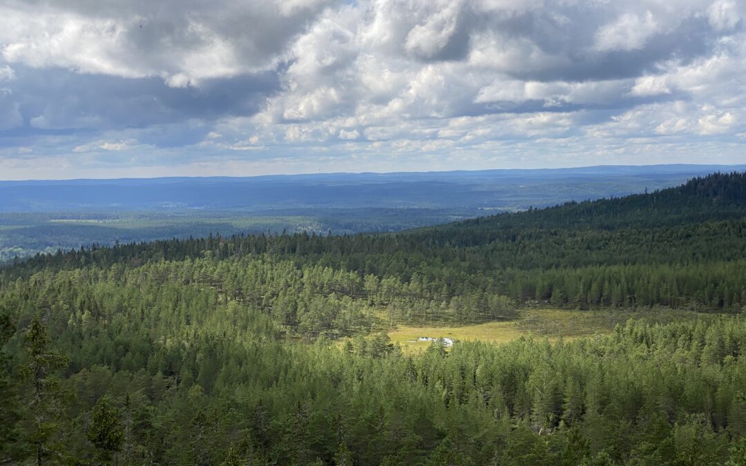 Bergslagen är bäst