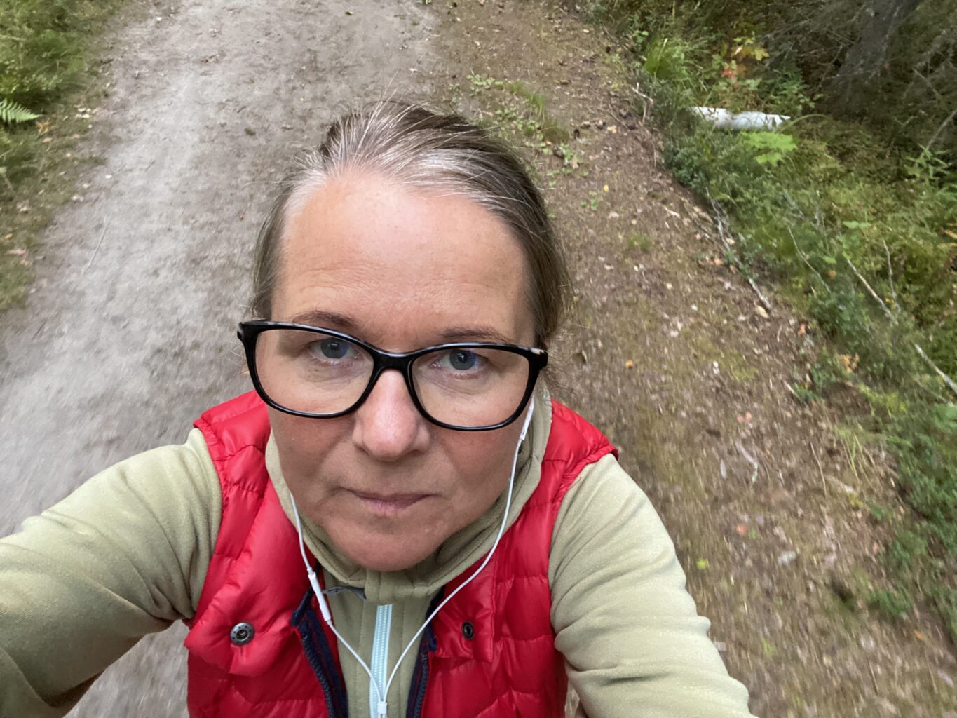 Fågelperspektiv