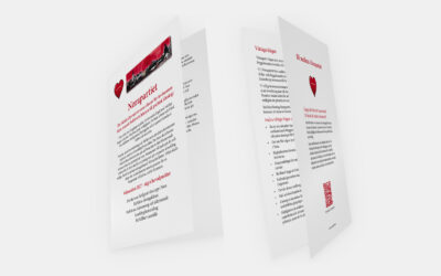 Informationsmaterial till politiskt parti